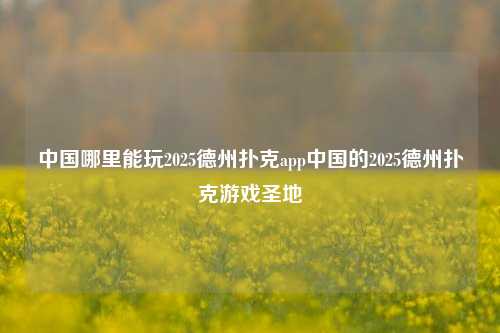 中国哪里能玩2025德州扑克app中国的2025德州扑克游戏圣地