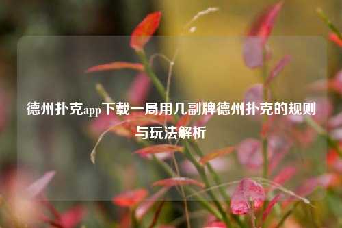 德州扑克app下载一局用几副牌德州扑克的规则与玩法解析