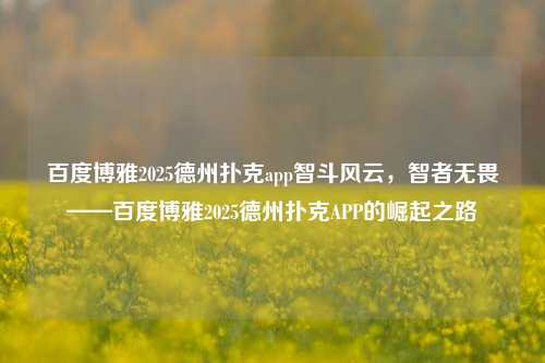 百度博雅2025德州扑克app智斗风云，智者无畏——百度博雅2025德州扑克APP的崛起之路