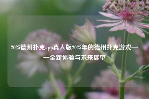 2025德州扑克app真人版2025年的德州扑克游戏——全新体验与未来展望