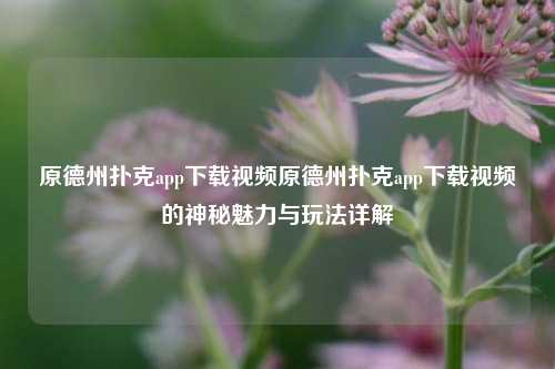 原德州扑克app下载视频原德州扑克app下载视频的神秘魅力与玩法详解