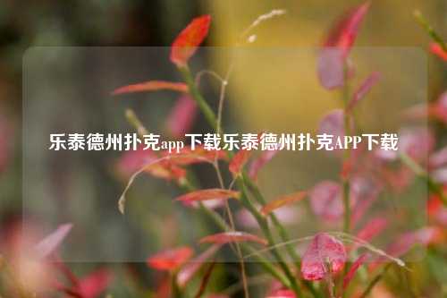 乐泰德州扑克app下载乐泰德州扑克APP下载