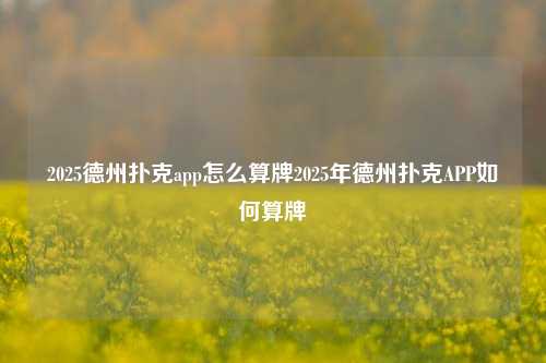 2025德州扑克app怎么算牌2025年德州扑克APP如何算牌