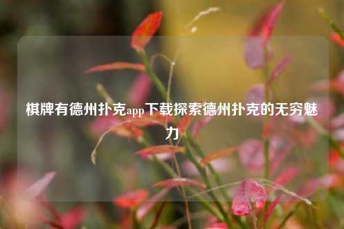 棋牌有德州扑克app下载探索德州扑克的无穷魅力