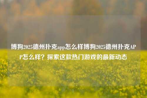 博狗2025德州扑克app怎么样博狗2025德州扑克APP怎么样？探索这款热门游戏的最新动态