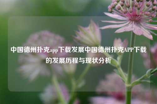 中国德州扑克app下载发展中国德州扑克APP下载的发展历程与现状分析