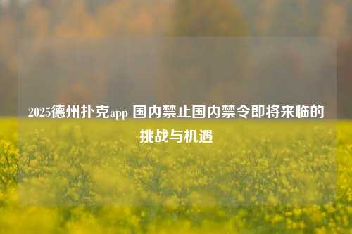 2025德州扑克app 国内禁止国内禁令即将来临的挑战与机遇