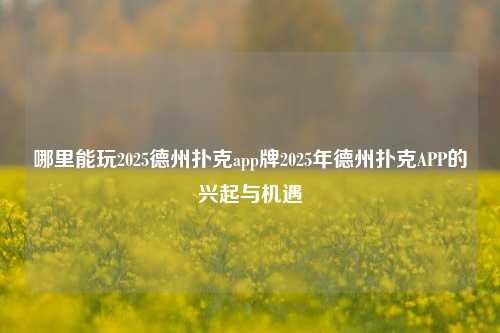 哪里能玩2025德州扑克app牌2025年德州扑克APP的兴起与机遇