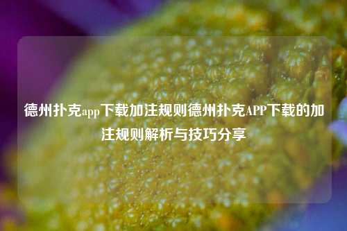 德州扑克app下载加注规则德州扑克APP下载的加注规则解析与技巧分享