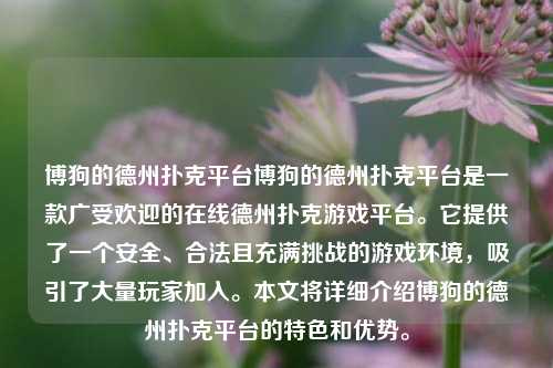 博狗的德州扑克平台博狗的德州扑克平台是一款广受欢迎的在线德州扑克游戏平台。它提供了一个安全、合法且充满挑战的游戏环境，吸引了大量玩家加入。本文将详细介绍博狗的德州扑克平台的特色和优势。