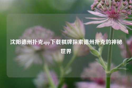 沈阳德州扑克app下载棋牌探索德州扑克的神秘世界