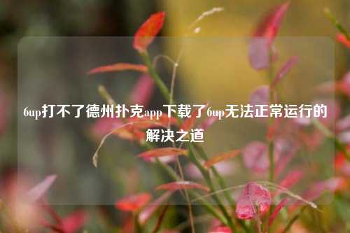 6up打不了德州扑克app下载了6up无法正常运行的解决之道