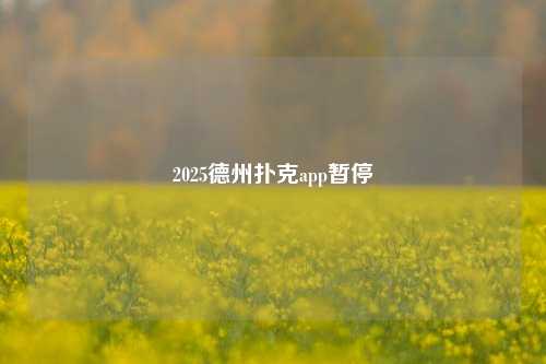 2025德州扑克app暂停
