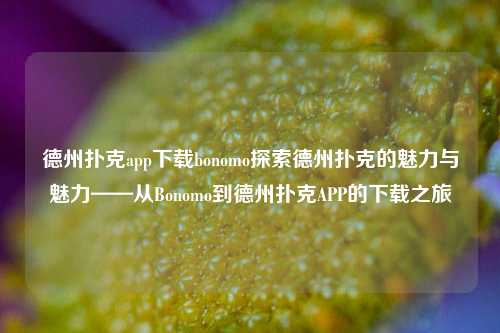 德州扑克app下载bonomo探索德州扑克的魅力与魅力——从Bonomo到德州扑克APP的下载之旅