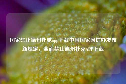 国家禁止德州扑克app下载中国国家网信办发布新规定，全面禁止德州扑克APP下载