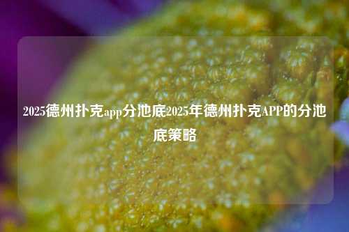 2025德州扑克app分池底2025年德州扑克APP的分池底策略