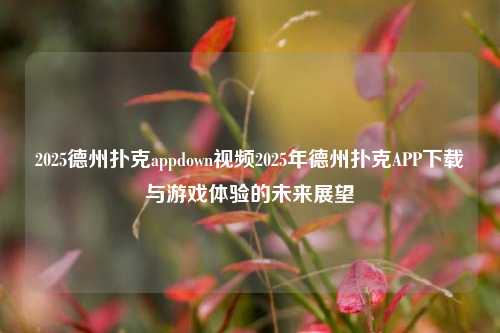 2025德州扑克appdown视频2025年德州扑克APP下载与游戏体验的未来展望