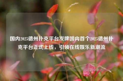 国内2025德州扑克平台发牌国内首个2025德州扑克平台正式上线，引领在线娱乐新潮流