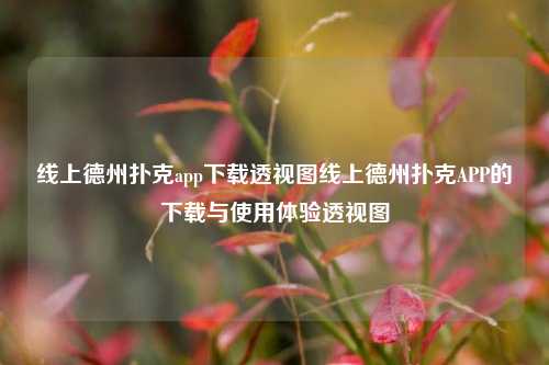 线上德州扑克app下载透视图线上德州扑克APP的下载与使用体验透视图