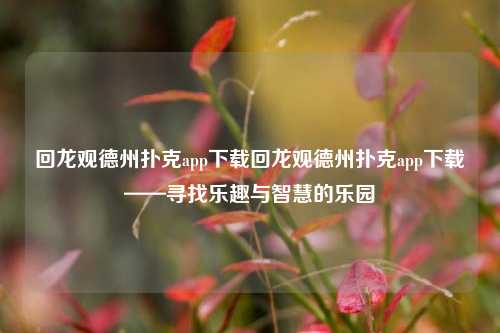 回龙观德州扑克app下载回龙观德州扑克app下载——寻找乐趣与智慧的乐园