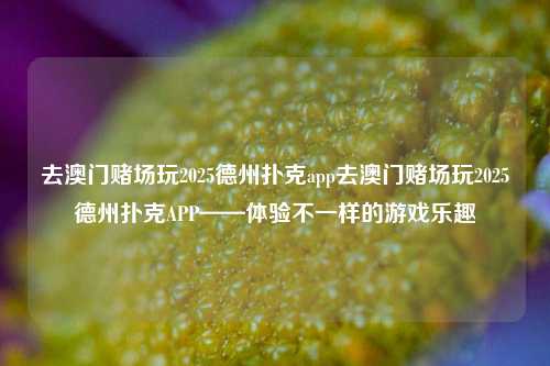 去澳门赌场玩2025德州扑克app去澳门赌场玩2025德州扑克APP——体验不一样的游戏乐趣