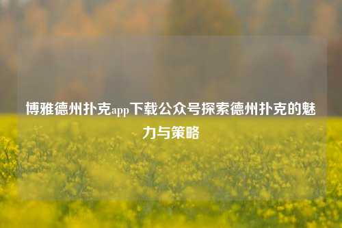 博雅德州扑克app下载公众号探索德州扑克的魅力与策略