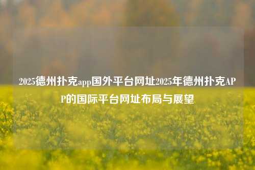 2025德州扑克app国外平台网址2025年德州扑克APP的国际平台网址布局与展望