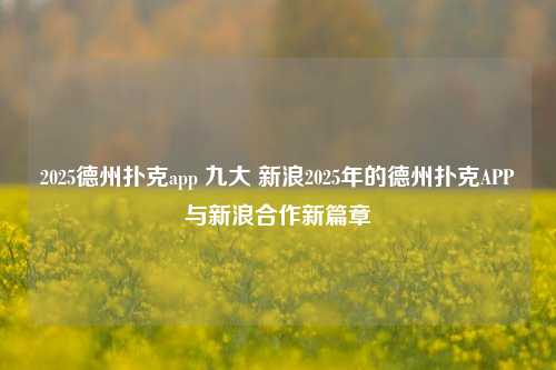 2025德州扑克app 九大 新浪2025年的德州扑克APP与新浪合作新篇章