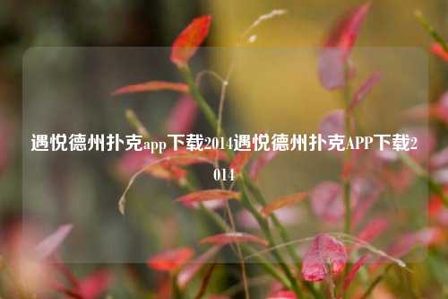 遇悦德州扑克app下载2014遇悦德州扑克APP下载2014