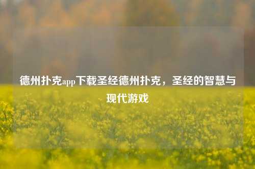 德州扑克app下载圣经德州扑克，圣经的智慧与现代游戏