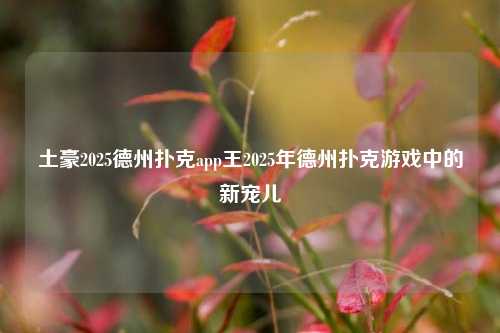 土豪2025德州扑克app王2025年德州扑克游戏中的新宠儿