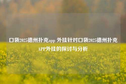 口袋2025德州扑克app 外挂针对口袋2025德州扑克APP外挂的探讨与分析