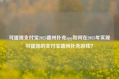 可提现支付宝2025德州扑克app如何在2025年实现可提现的支付宝德州扑克游戏？