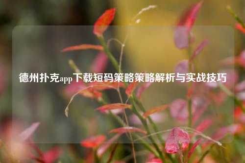 德州扑克app下载短码策略策略解析与实战技巧