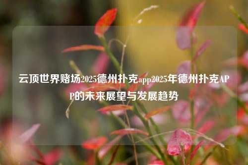 云顶世界赌场2025德州扑克app2025年德州扑克APP的未来展望与发展趋势