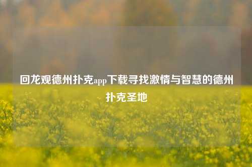 回龙观德州扑克app下载寻找激情与智慧的德州扑克圣地