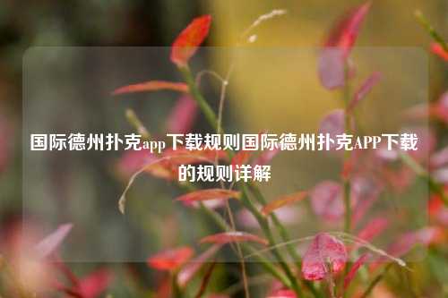 国际德州扑克app下载规则国际德州扑克APP下载的规则详解
