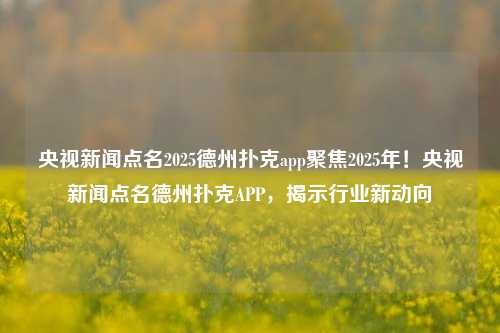 央视新闻点名2025德州扑克app聚焦2025年！央视新闻点名德州扑克APP，揭示行业新动向