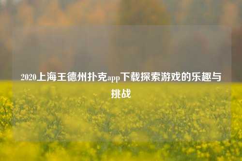 2020上海王德州扑克app下载探索游戏的乐趣与挑战