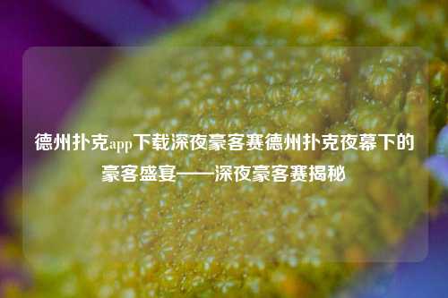 德州扑克app下载深夜豪客赛德州扑克夜幕下的豪客盛宴——深夜豪客赛揭秘