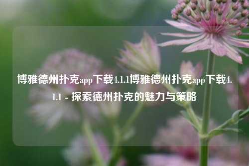 博雅德州扑克app下载4.1.1博雅德州扑克app下载4.1.1 - 探索德州扑克的魅力与策略