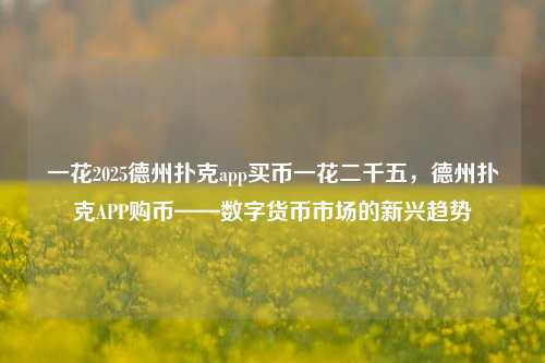 一花2025德州扑克app买币一花二千五，德州扑克APP购币——数字货币市场的新兴趋势
