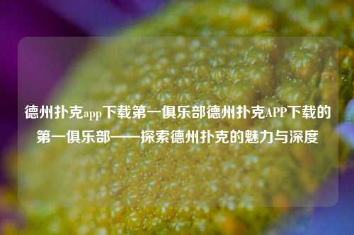 德州扑克app下载第一俱乐部德州扑克APP下载的第一俱乐部——探索德州扑克的魅力与深度