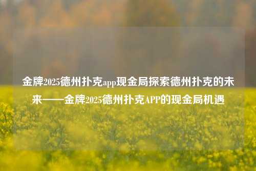 金牌2025德州扑克app现金局探索德州扑克的未来——金牌2025德州扑克APP的现金局机遇