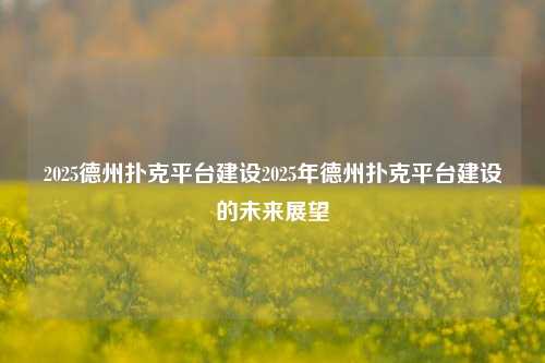 2025德州扑克平台建设2025年德州扑克平台建设的未来展望
