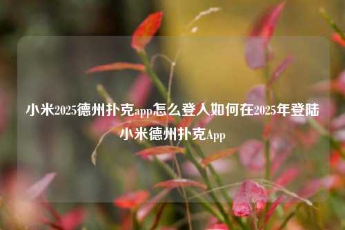 小米2025德州扑克app怎么登入如何在2025年登陆小米德州扑克App