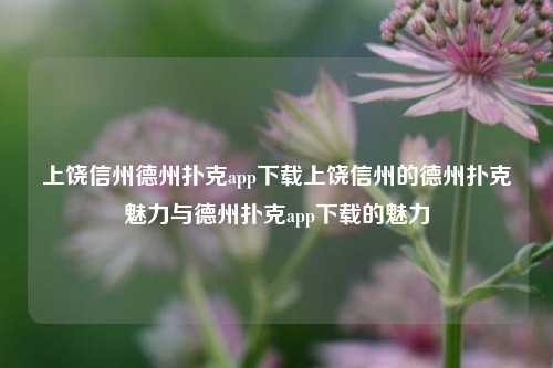 上饶信州德州扑克app下载上饶信州的德州扑克魅力与德州扑克app下载的魅力