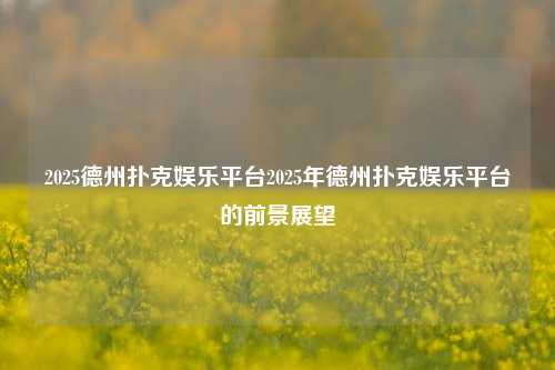 2025德州扑克娱乐平台2025年德州扑克娱乐平台的前景展望