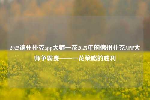 2025德州扑克app大师一花2025年的德州扑克APP大师争霸赛——一花策略的胜利
