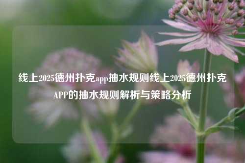 线上2025德州扑克app抽水规则线上2025德州扑克APP的抽水规则解析与策略分析